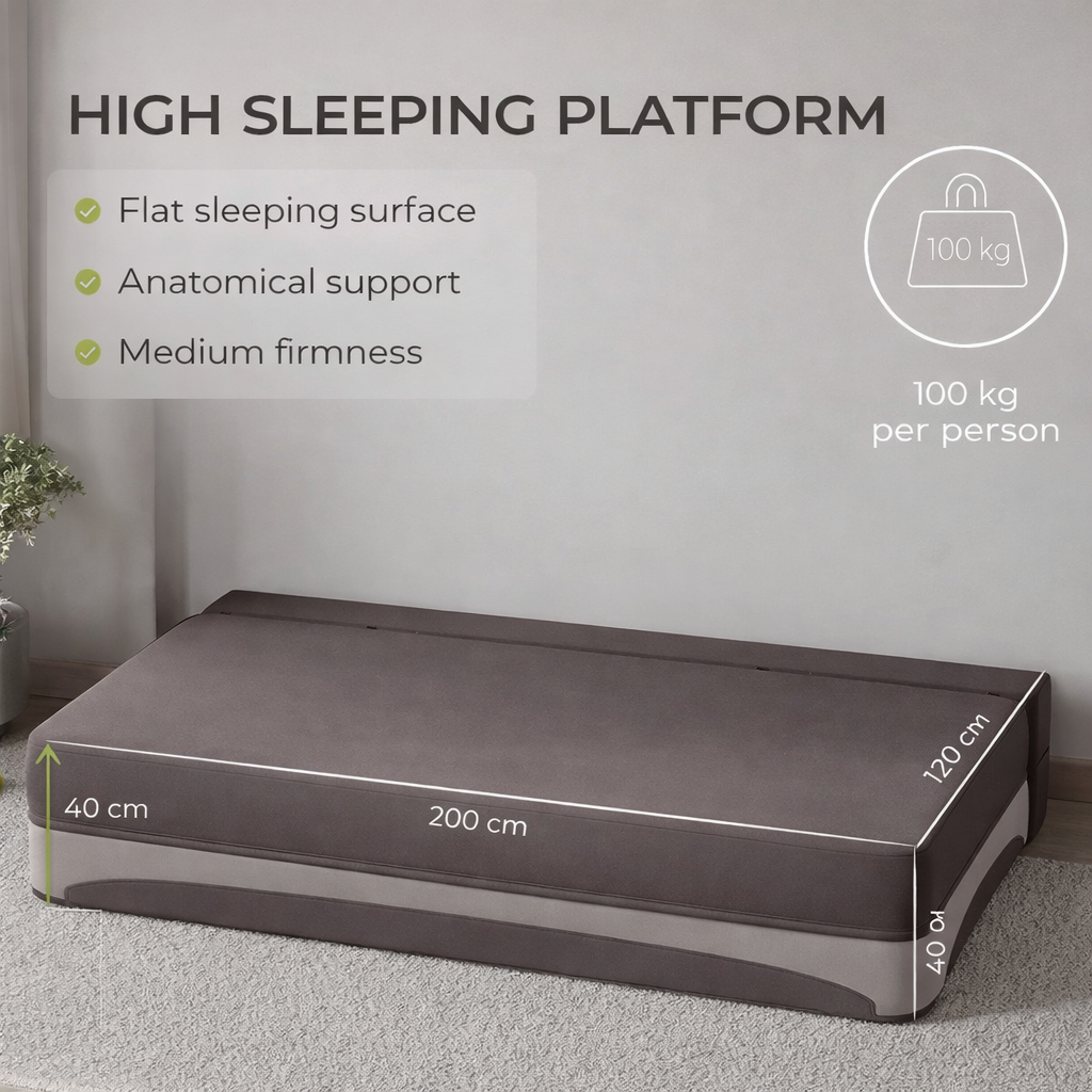 RAUM Loft Convertible Sofa